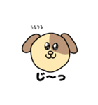 WANちゃん（個別スタンプ：12）