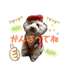 てんくんシリーズ（個別スタンプ：7）