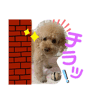 てんくんシリーズ（個別スタンプ：8）
