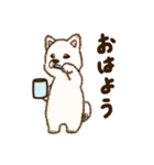 白柴犬ちびキャラスタンプ 第二弾（個別スタンプ：1）