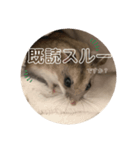 うにすた-プライベート編-（個別スタンプ：1）