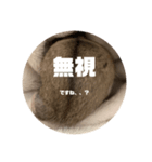 うにすた-プライベート編-（個別スタンプ：3）