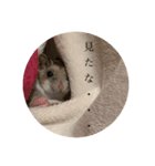 うにすた-プライベート編-（個別スタンプ：4）