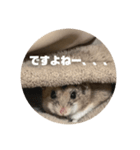 うにすた-プライベート編-（個別スタンプ：5）