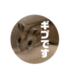 うにすた-プライベート編-（個別スタンプ：6）