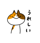 親しみやすい猫（個別スタンプ：25）