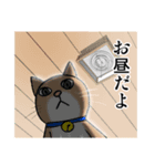 マウント猫（個別スタンプ：3）