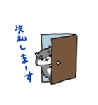 チワワのゆるかわ敬語スタンプ（個別スタンプ：2）