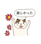 見やすい猫いろいろスタンプ【春】（個別スタンプ：17）