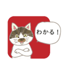 見やすい猫いろいろスタンプ【春】（個別スタンプ：29）