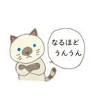 見やすい猫いろいろスタンプ【春】（個別スタンプ：30）