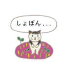 見やすい猫いろいろスタンプ【春】（個別スタンプ：33）