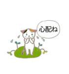 見やすい猫いろいろスタンプ【春】（個別スタンプ：34）