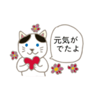 見やすい猫いろいろスタンプ【春】（個別スタンプ：35）