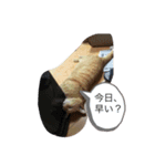 がんばれ、れもんちゃん4（個別スタンプ：3）