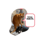 がんばれ、れもんちゃん4（個別スタンプ：6）
