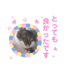 キッキとナナ（ねこ）1（個別スタンプ：38）