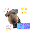 ウェルシュテリア ♡ ジェリーさんの1日（個別スタンプ：3）