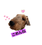 ウェルシュテリア ♡ ジェリーさんの1日（個別スタンプ：7）