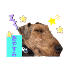 ウェルシュテリア ♡ ジェリーさんの1日（個別スタンプ：8）
