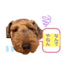 ウェルシュテリア ♡ ジェリーさんの1日（個別スタンプ：10）