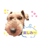 ウェルシュテリア ♡ ジェリーさんの1日（個別スタンプ：17）