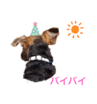 ウェルシュテリア ♡ ジェリーさんの1日（個別スタンプ：18）