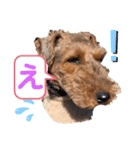 ウェルシュテリア ♡ ジェリーさんの1日（個別スタンプ：20）