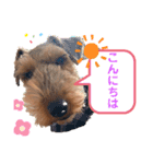 ウェルシュテリア ♡ ジェリーさんの1日（個別スタンプ：23）