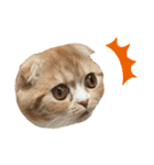 猫のらむねスタンプ（個別スタンプ：2）