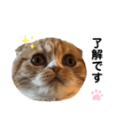 猫のらむねスタンプ（個別スタンプ：4）