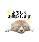 猫のらむねスタンプ（個別スタンプ：6）