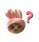 猫のらむねスタンプ（個別スタンプ：8）