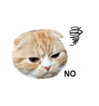 猫のらむねスタンプ（個別スタンプ：9）