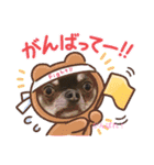 犬わんわんスタンプ（個別スタンプ：4）