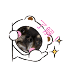 犬わんわんスタンプ（個別スタンプ：10）