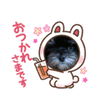 犬わんわんスタンプ（個別スタンプ：11）
