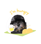 犬わんわんスタンプ（個別スタンプ：14）