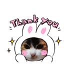 三毛猫みみちゃん（個別スタンプ：3）