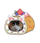 三毛猫みみちゃん（個別スタンプ：12）