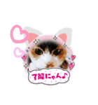 三毛猫みみちゃん（個別スタンプ：15）