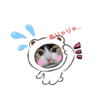 三毛猫みみちゃん（個別スタンプ：19）