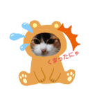三毛猫みみちゃん（個別スタンプ：20）