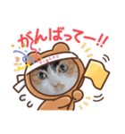 三毛猫みみちゃん（個別スタンプ：21）
