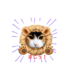 三毛猫みみちゃん（個別スタンプ：32）
