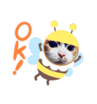 三毛猫みみちゃん（個別スタンプ：36）