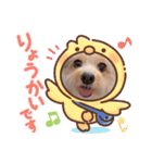 もぐもぐくうちゃん（個別スタンプ：20）