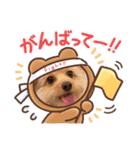 もぐもぐくうちゃん（個別スタンプ：21）