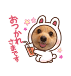 もぐもぐくうちゃん（個別スタンプ：22）