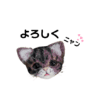 ぃぬちゃんと ねこちゃん②（個別スタンプ：9）